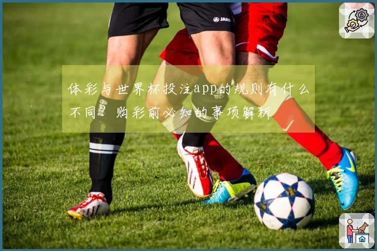 体彩与世界杯投注app的规则有什么不同？购彩前必知的事项解析