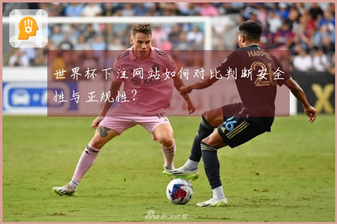 世界杯下注网站如何对比判断安全性与正规性？