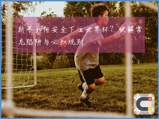 新手如何安全下注世界杯？破解常见陷阱与必知规则