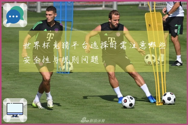世界杯竞猜平台选择时需注意哪些安全性与规则问题