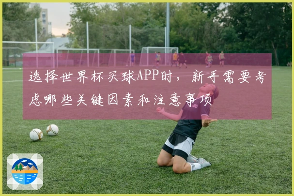 选择世界杯买球APP时，新手需要考虑哪些关键因素和注意事项