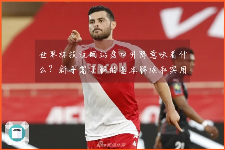 世界杯投注网站盘口升降意味着什么？新手需了解的基本解读和实用技巧