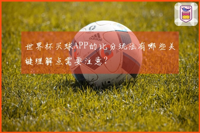 世界杯买球APP的比分玩法有哪些关键理解点需要注意？