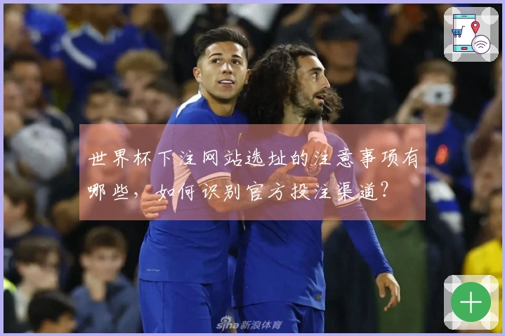 世界杯下注网站选址的注意事项有哪些，如何识别官方投注渠道？