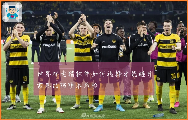 世界杯竞猜软件如何选择才能避开常见的陷阱和风险