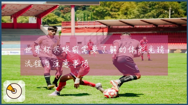 世界杯买球前需要了解的体彩竞猜流程与注意事项