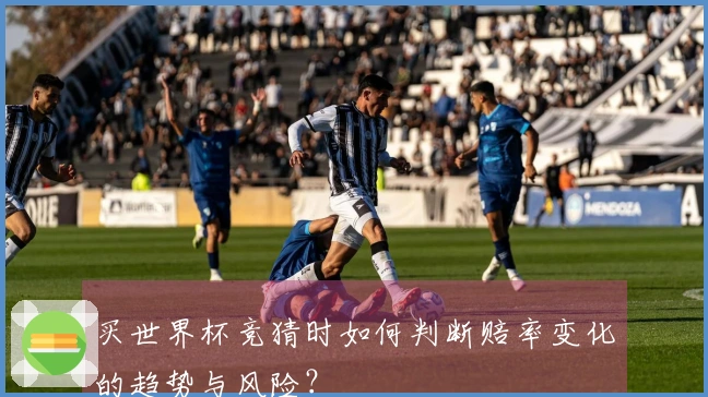 买世界杯竞猜时如何判断赔率变化的趋势与风险？