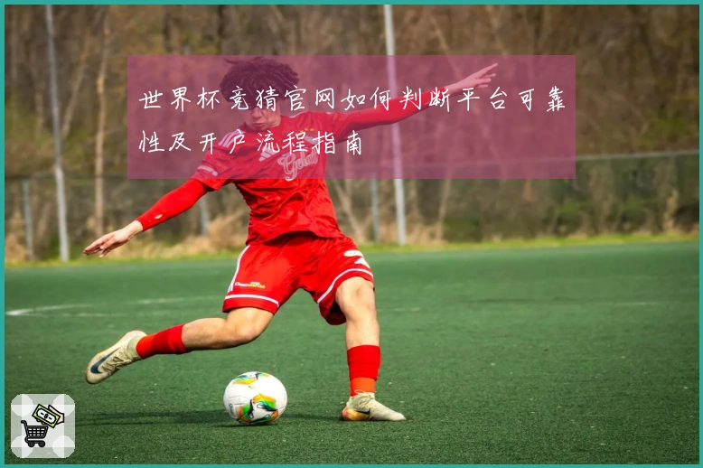 世界杯竞猜官网如何判断平台可靠性及开户流程指南