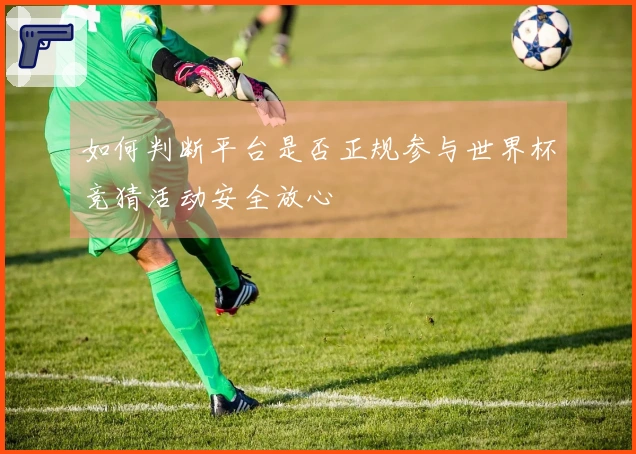 如何判断平台是否正规参与世界杯竞猜活动安全放心