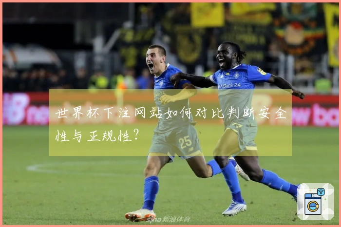 世界杯下注网站如何对比判断安全性与正规性？