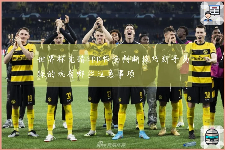 世界杯竞猜app临场判断技巧新手易踩的坑有哪些注意事项