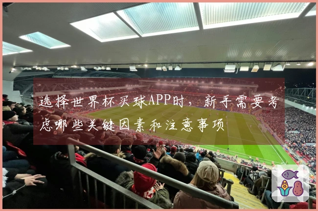 选择世界杯买球APP时，新手需要考虑哪些关键因素和注意事项