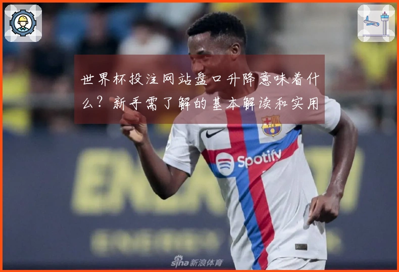 世界杯投注网站盘口升降意味着什么？新手需了解的基本解读和实用技巧