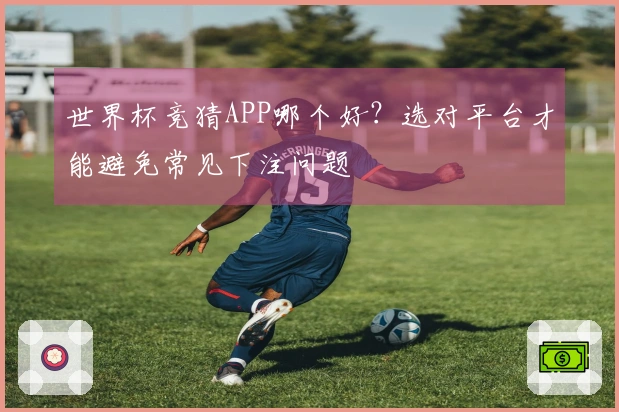 世界杯竞猜APP哪个好？选对平台才能避免常见下注问题