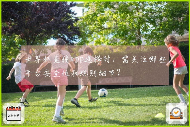 世界杯竞猜app选择时，需关注哪些平台安全性和规则细节？