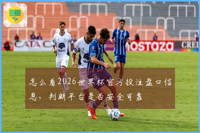 怎么看2026世界杯官方投注盘口信息，判断平台是否安全可靠