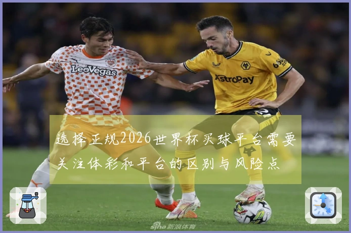 选择正规2026世界杯买球平台需要关注体彩和平台的区别与风险点