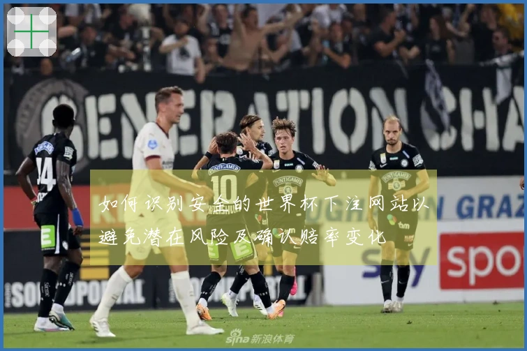 如何识别安全的世界杯下注网站以避免潜在风险及确认赔率变化
