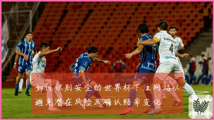 如何识别安全的世界杯下注网站以避免潜在风险及确认赔率变化