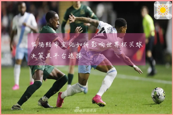 临场赔率变化如何影响世界杯买球决策及平台选择