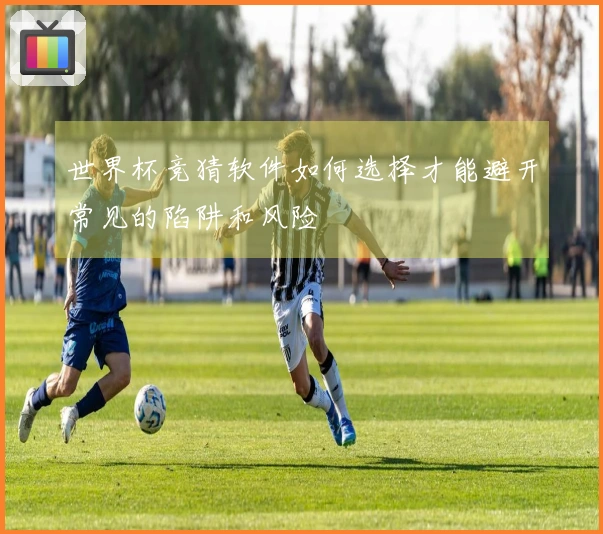 世界杯竞猜软件如何选择才能避开常见的陷阱和风险